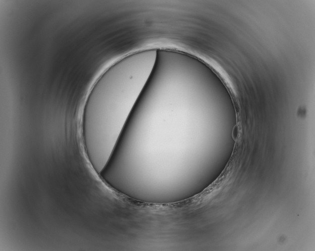 X0000103150815200808221127