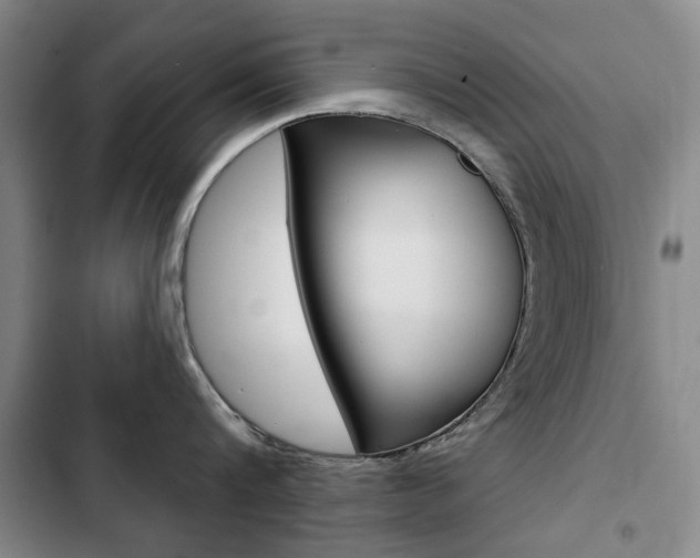 X0000103150816200808221127