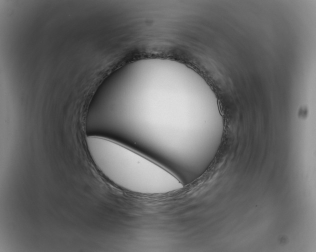 X0000103150817200808221126