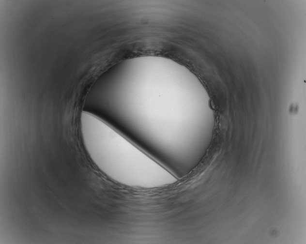 X0000103150818200808221126