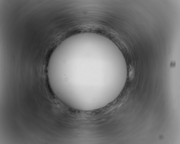 X0000103150819200808221126