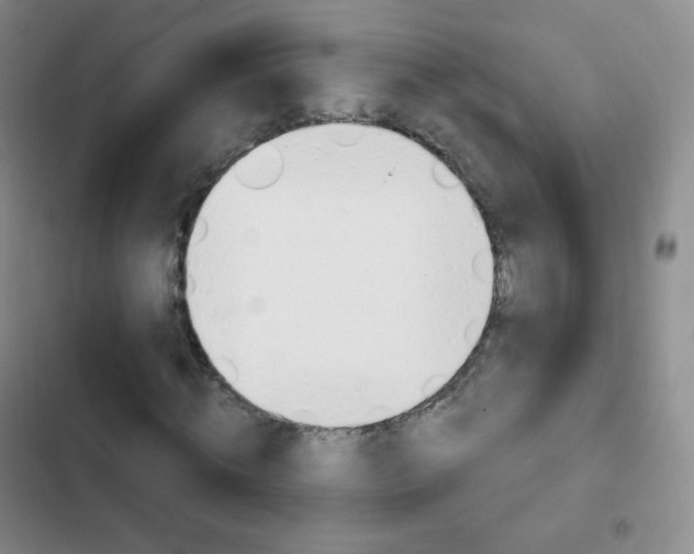X0000103150820200808221126