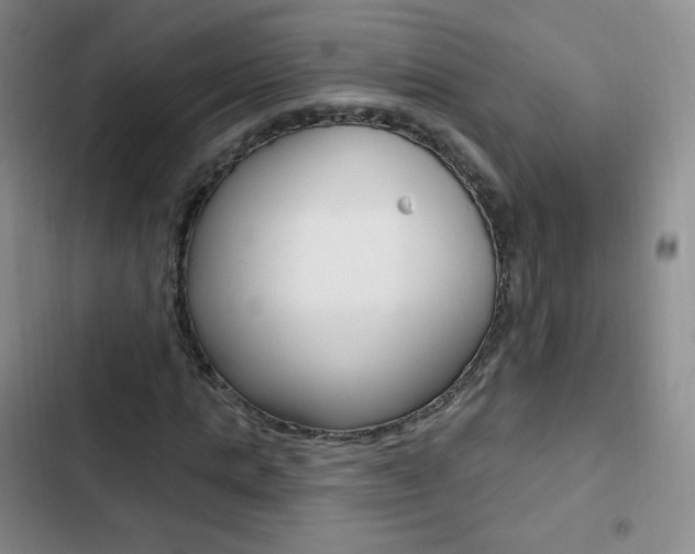 X0000103150821200808221126