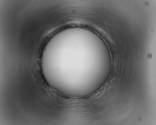 X0000103150822200808221126