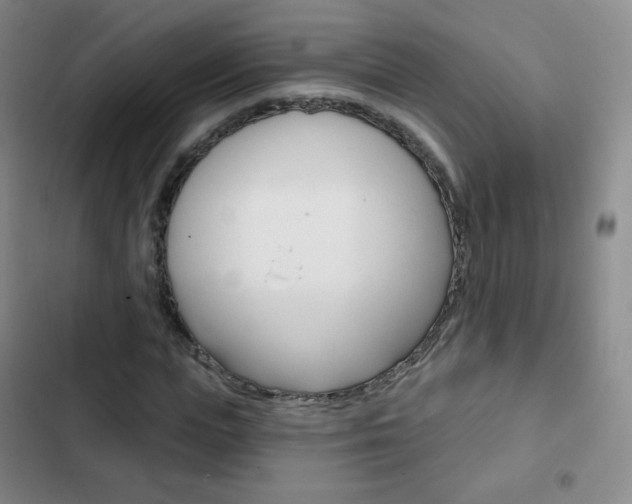 X0000103150823200808221126
