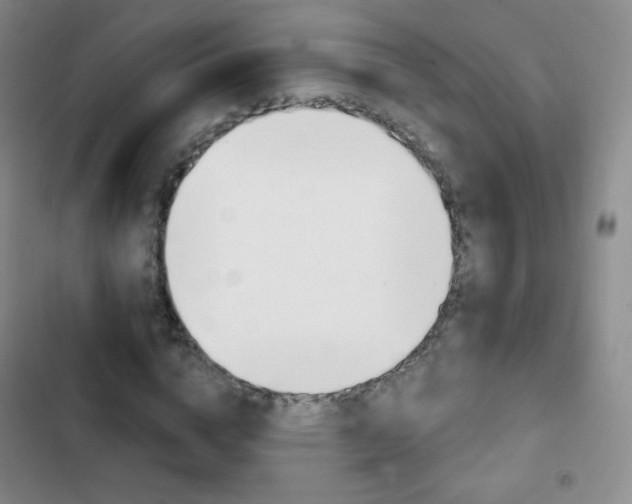 X0000103150824200808221126