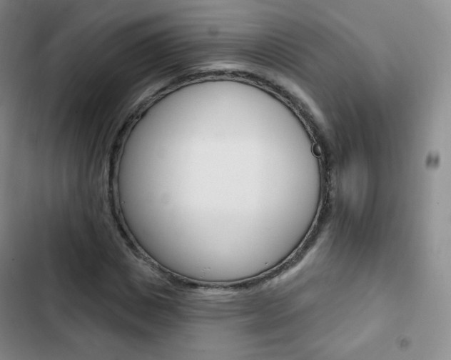 X0000103150825200808221126