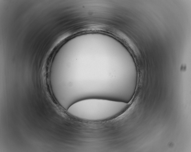 X0000103150827200808221126