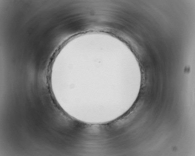 X0000103150828200808221126