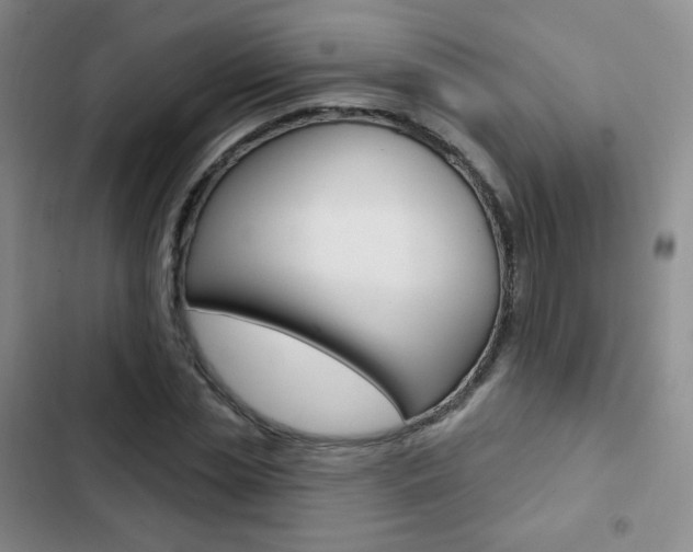 X0000103150829200808221126