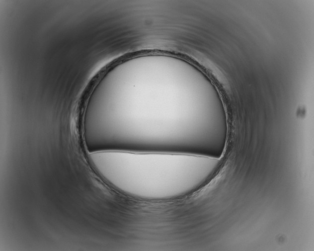 X0000103150830200808221126