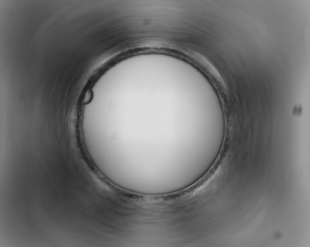 X0000103150831200808221126