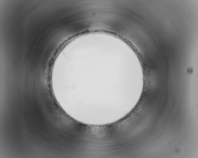 X0000103150832200808221126