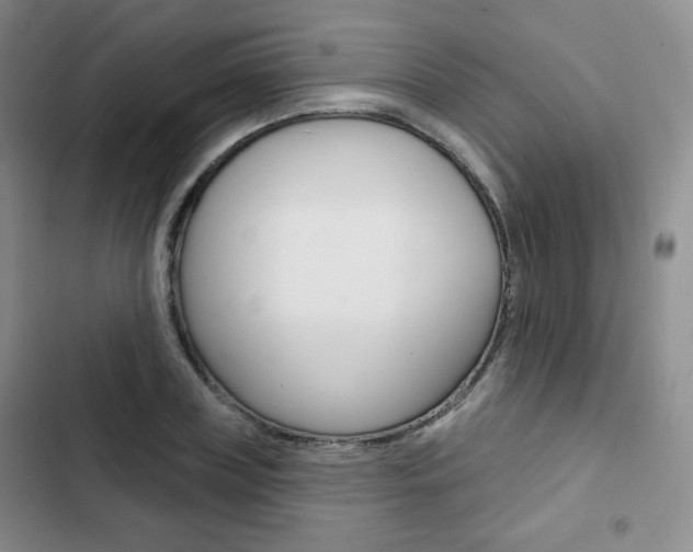 X0000103150835200808221126