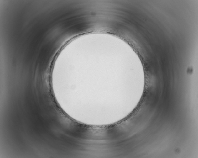 X0000103150836200808221126