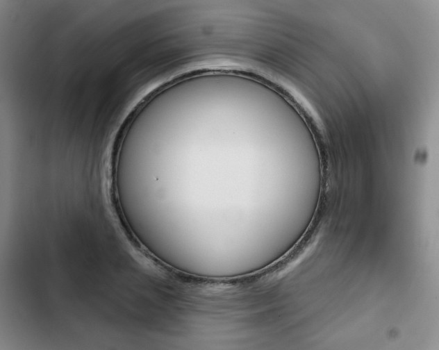 X0000103150837200808221126