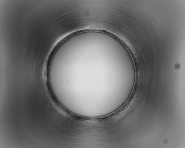 X0000103150838200808221126
