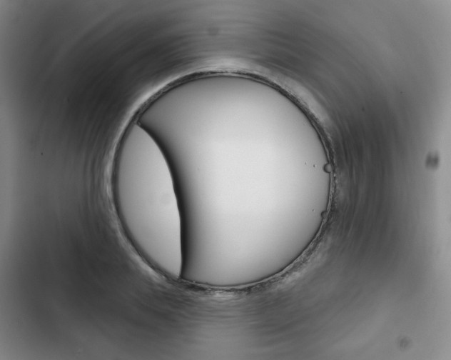 X0000103150839200808221126