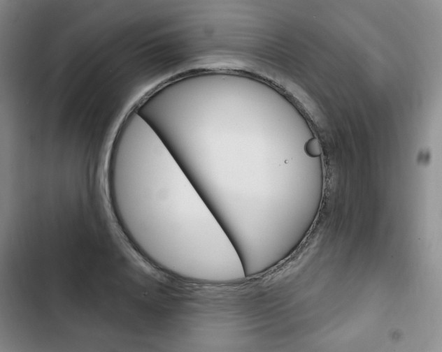 X0000103150840200808221126