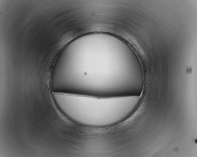 X0000103150841200808221127