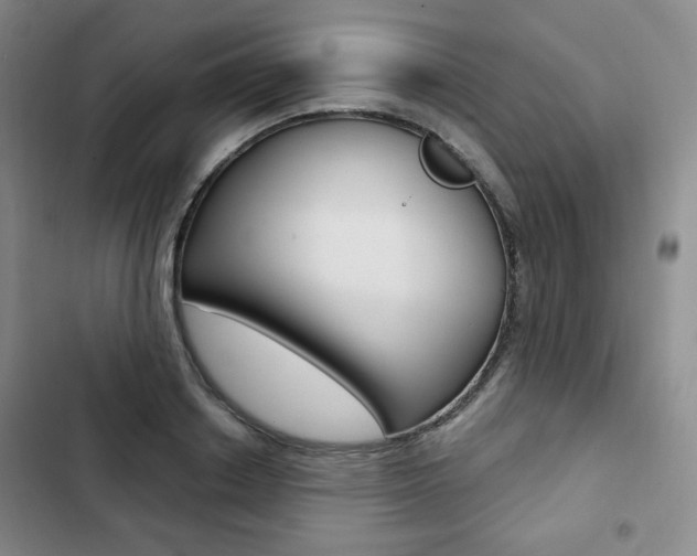 X0000103150842200808221127