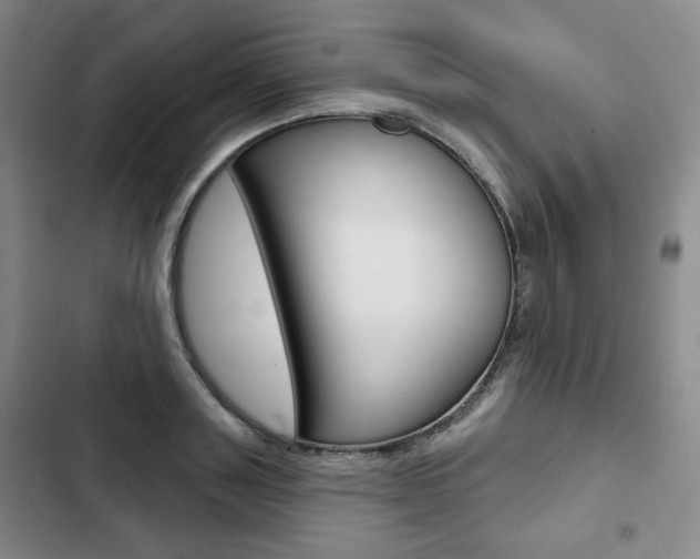 X0000103150843200808221127