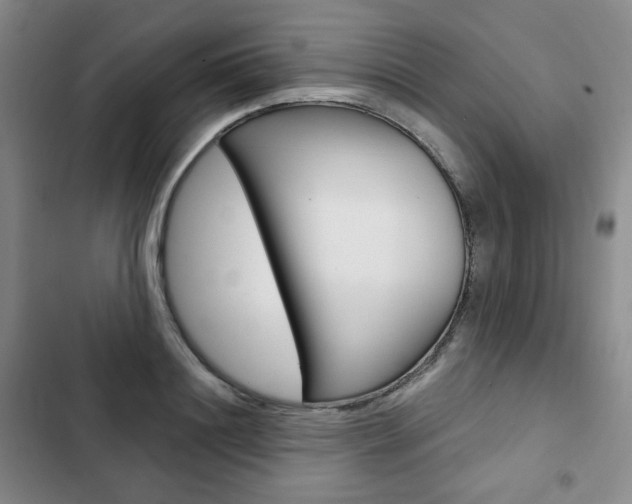 X0000103150844200808221127