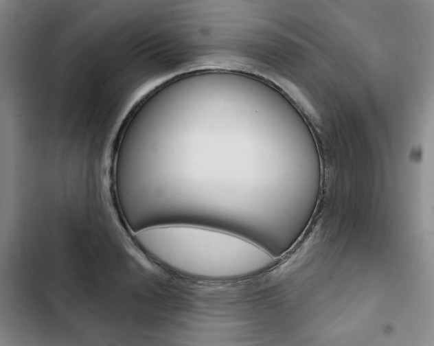 X0000103150846200808221127