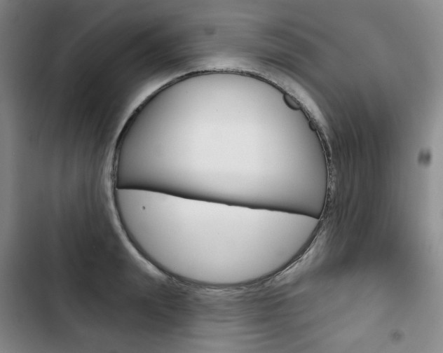 X0000103150847200808221127