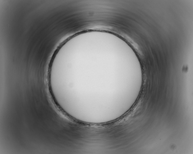 X0000103150848200808221127