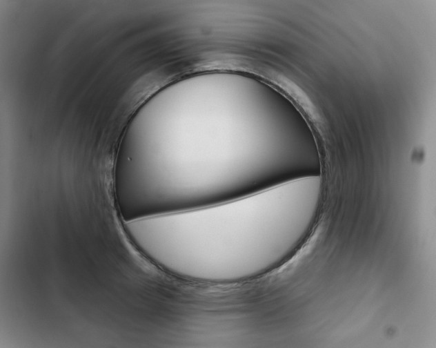 X0000103150849200808221127