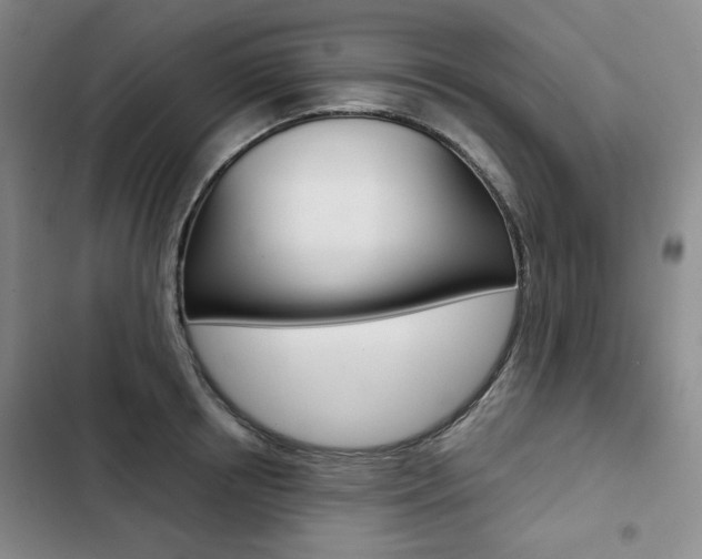 X0000103150850200808221127