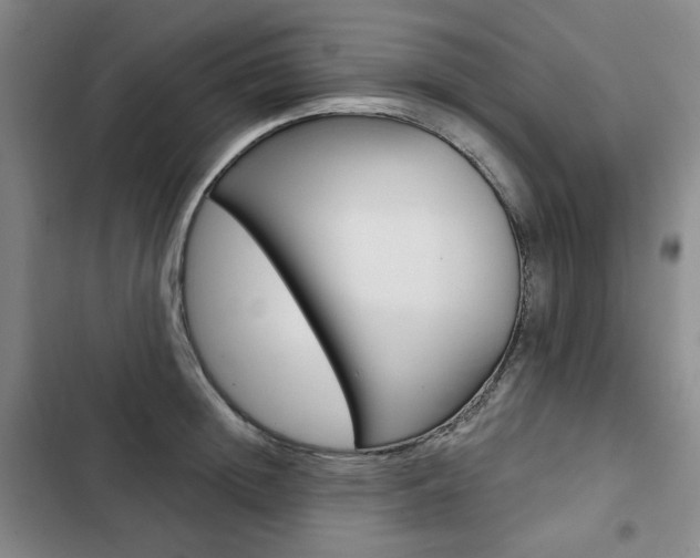 X0000103150852200808221127