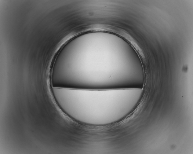 X0000103150853200808221127