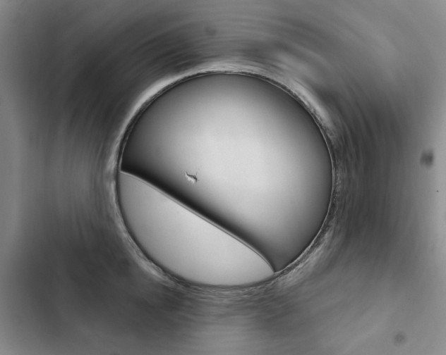 X0000103150854200808221127