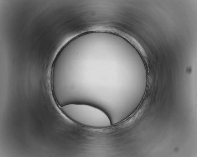 X0000103150855200808221127