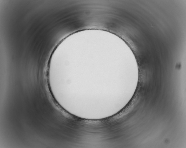 X0000103150856200808221127