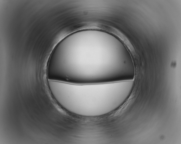 X0000103150858200808221127