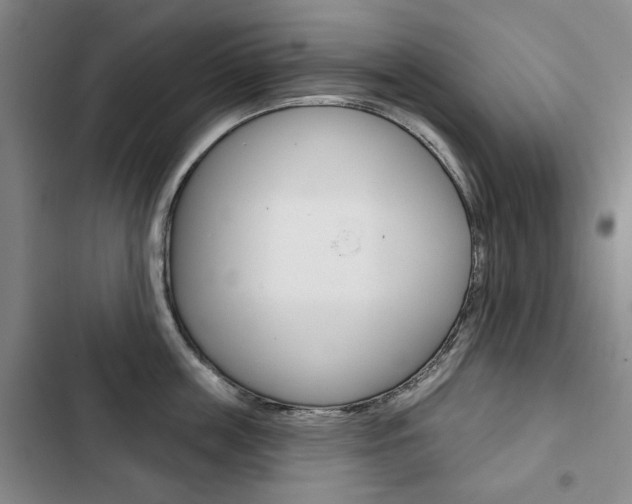 X0000103150859200808221127