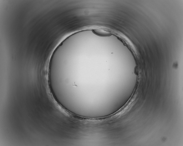 X0000103150860200808221127