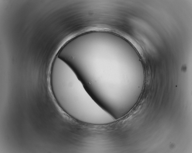 X0000103150861200808221127