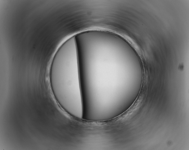 X0000103150862200808221127