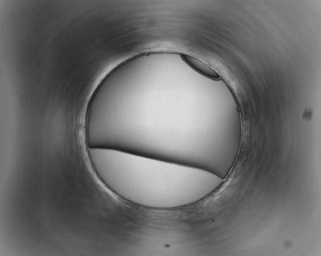 X0000103150863200808221127