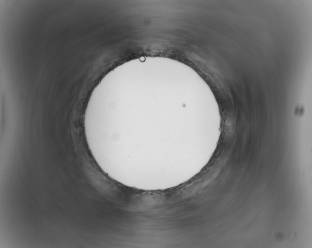 X0000103150865200808221126