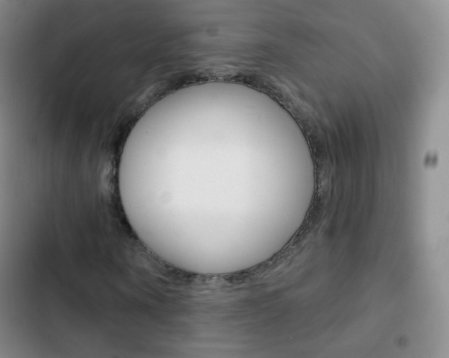 X0000103150866200808221126