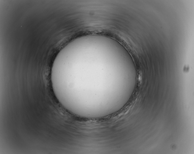 X0000103150867200808221126