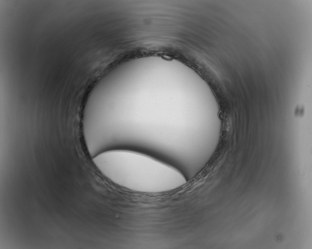 X0000103150868200808221126