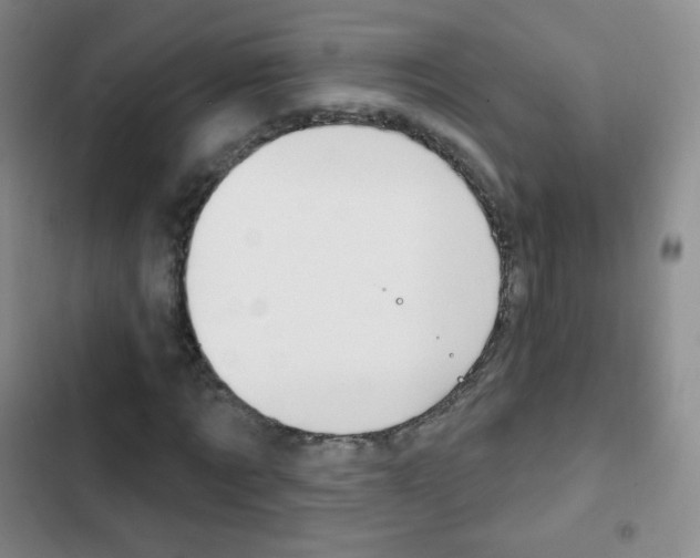 X0000103150869200808221126