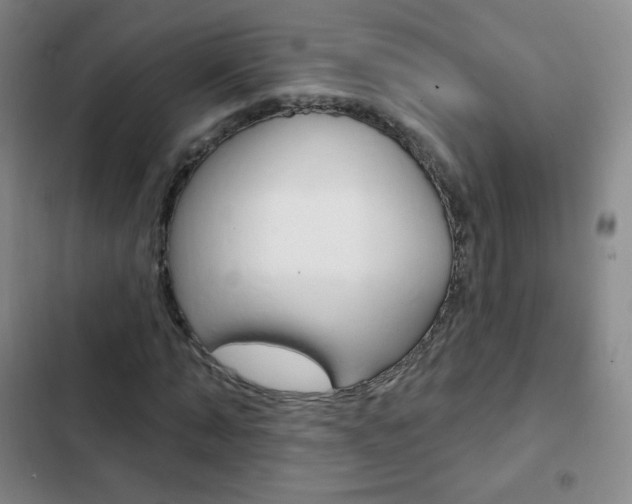 X0000103150870200808221126