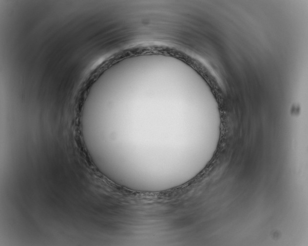 X0000103150871200808221126